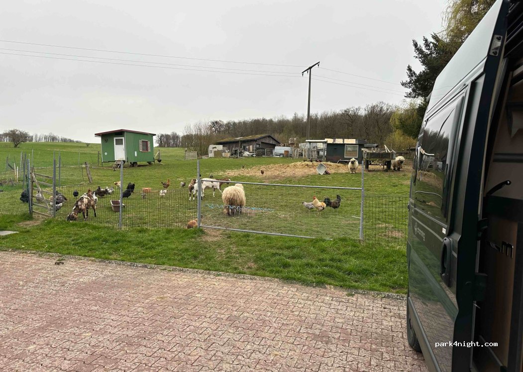 Stellplatz Irmtraut — foto 2