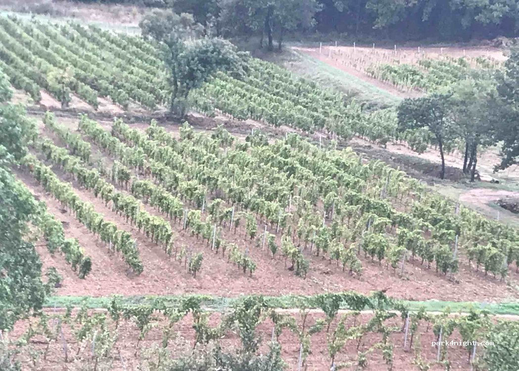 Domaine agricole Le Clos Madame — foto 4