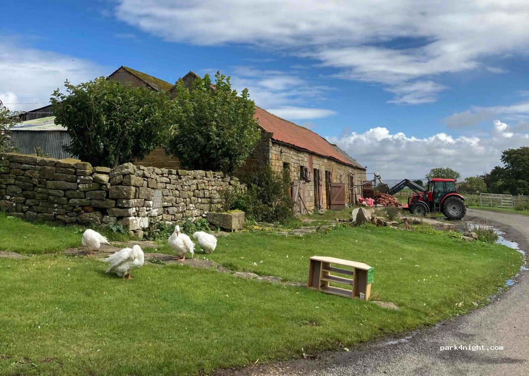 Wild Slack Farm — foto