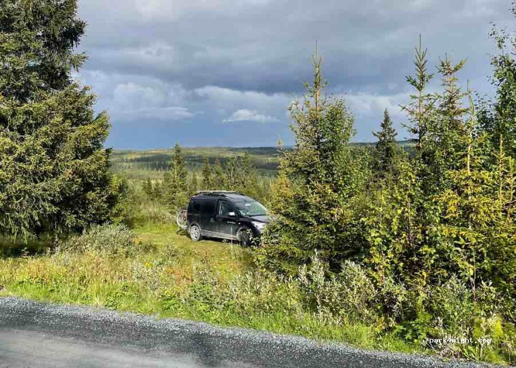 (2880)  - Sekundær Fylkesveg 204 — foto 2