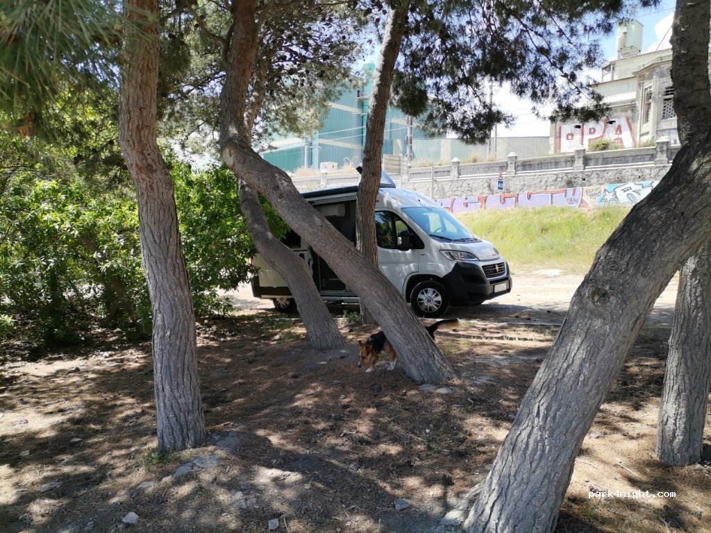 (08872) Sitges - Carrera Barcelona a Calafell — foto 4