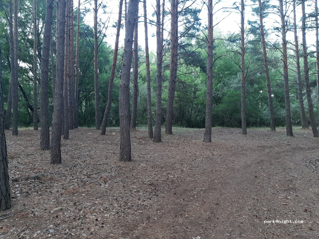 () Garray - Unnamed Road — foto