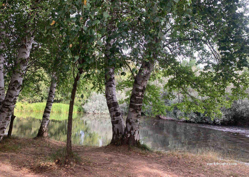 () Garray - Unnamed Road — foto 4