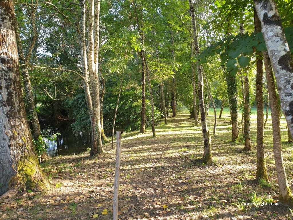 (24530) Quinsac - 131 Le Bourg — foto 2