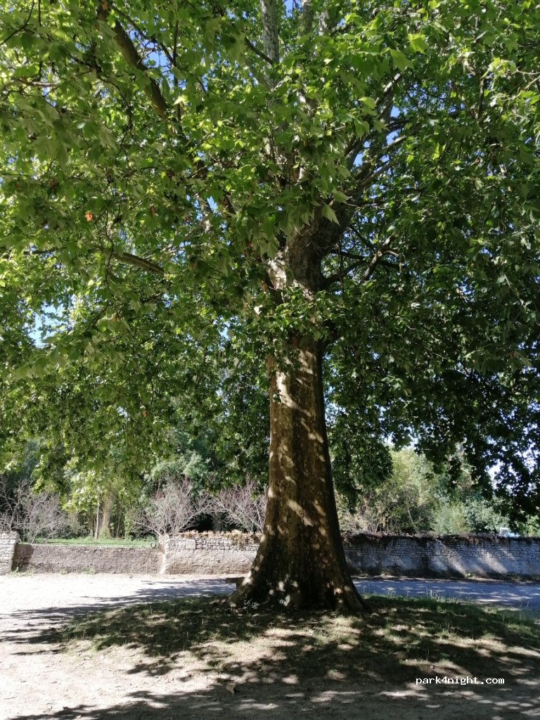 (79170) Le Vert - 3 Rue du Lavoir — foto 3