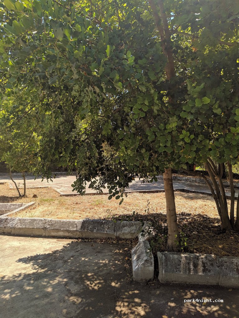 (07119) Aksu - Kurşunlu Belediyesi Yolu — foto 3