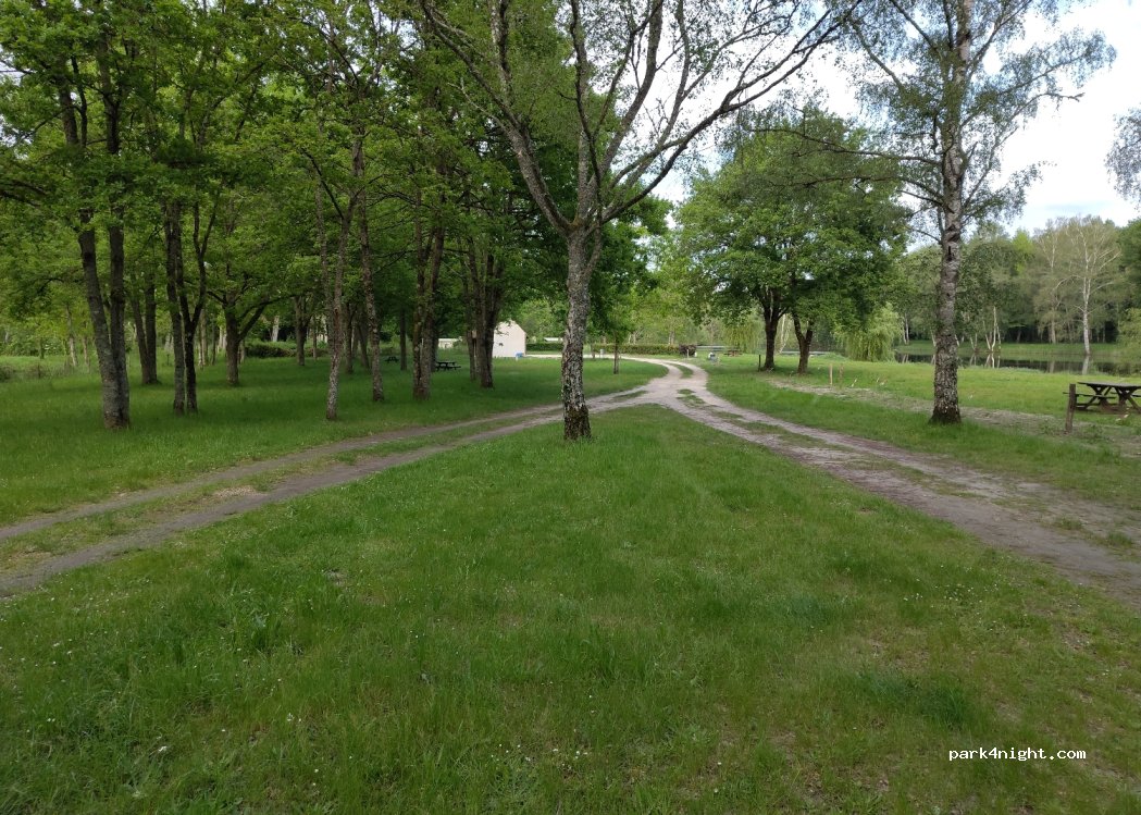 (41220) La Ferté-Saint-Cyr - 55 Route du Bonveau — foto 2