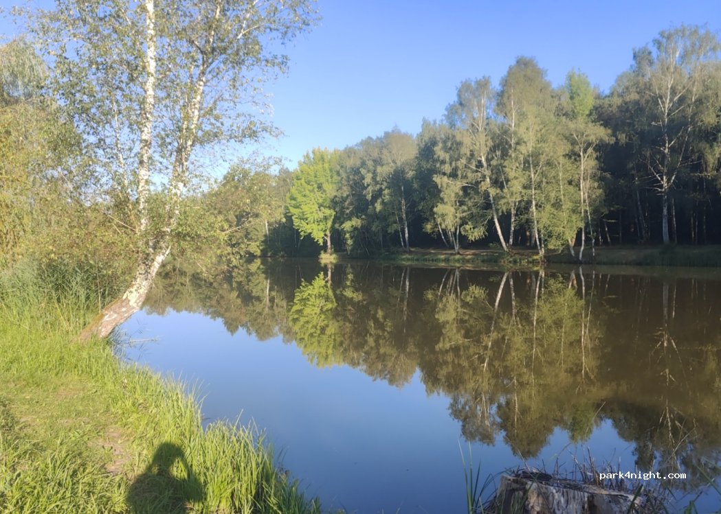 (41220) La Ferté-Saint-Cyr - 55 Route du Bonveau — foto 3
