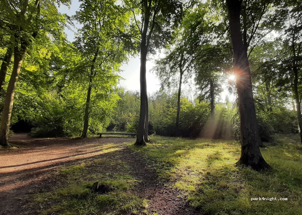 (OX49 5LQ)  - Chiltern Way — foto 4