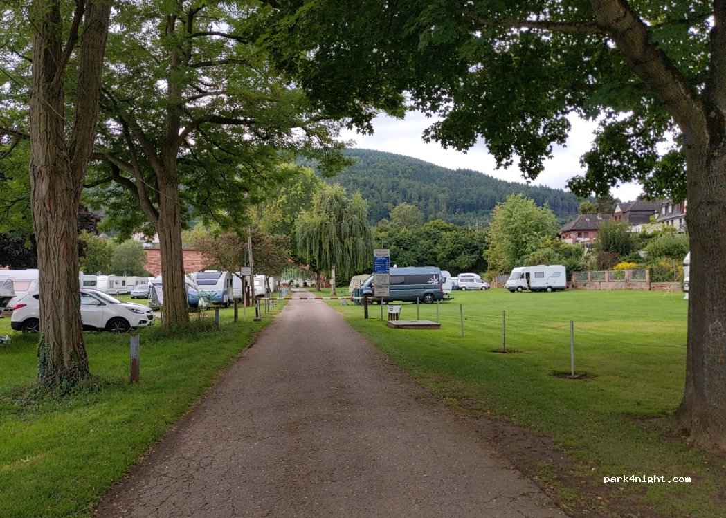 Campingplatz Mainwiese — foto 2