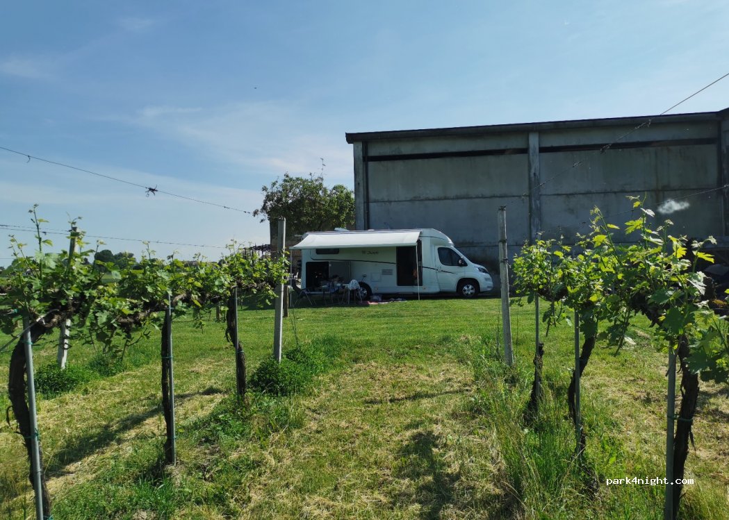 Società agricola Corte Viazza — foto