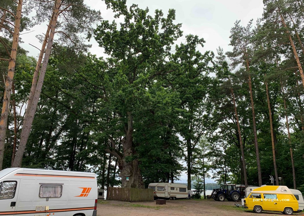 (12-220) Ruciane-Nida - Żeglarska 15 — foto