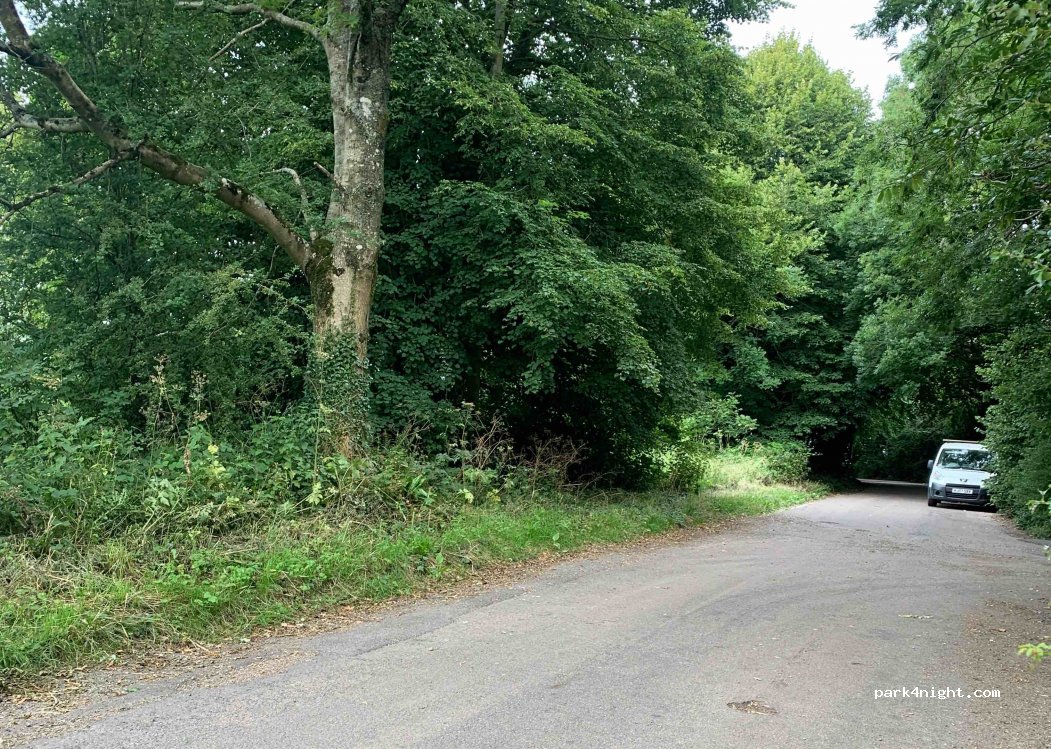 (TA20 4BT) Lydmarsh - — foto
