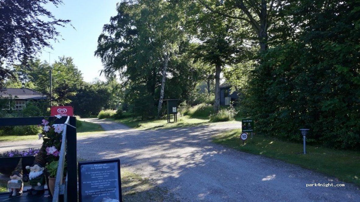 Ringkøbing Camping — foto 2