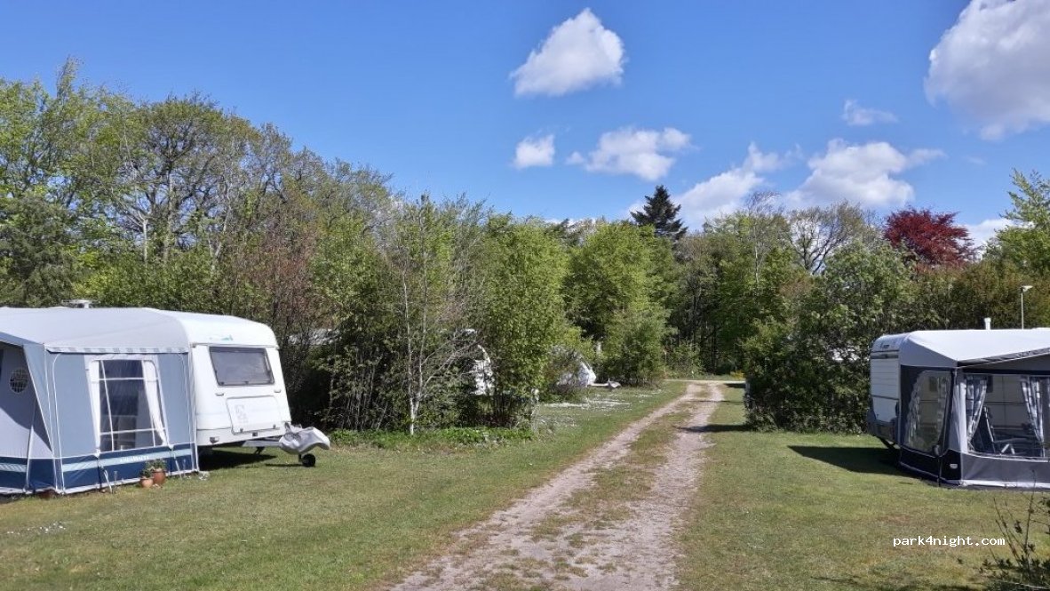 Ringkøbing Camping — foto 3