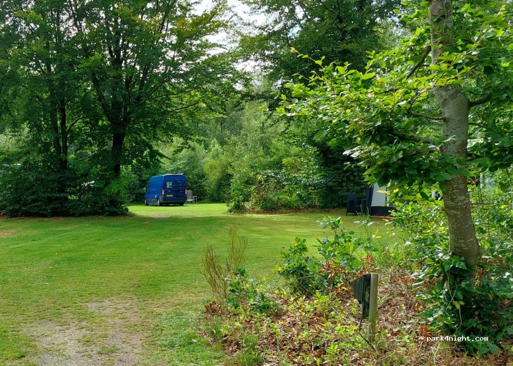 Ringkøbing Camping — foto 5