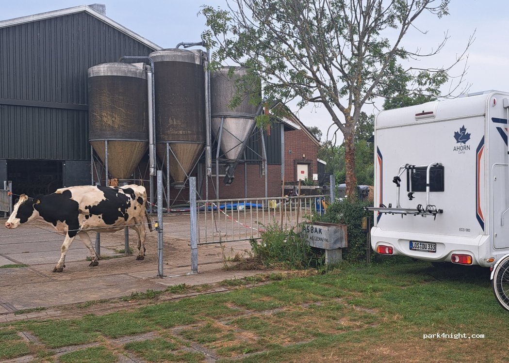 FarmCamps ‘t Oortjeshek — foto 4