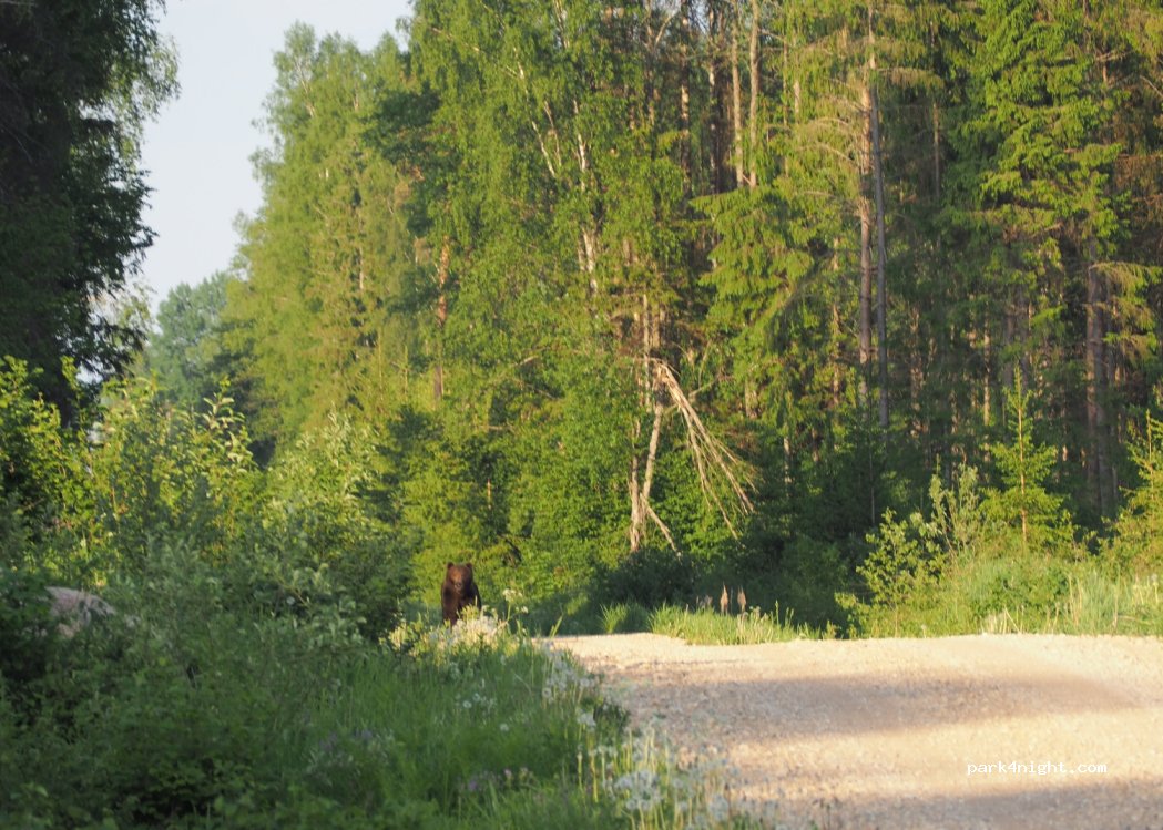 (69115) Äriküla - Unnamed Road — foto 4