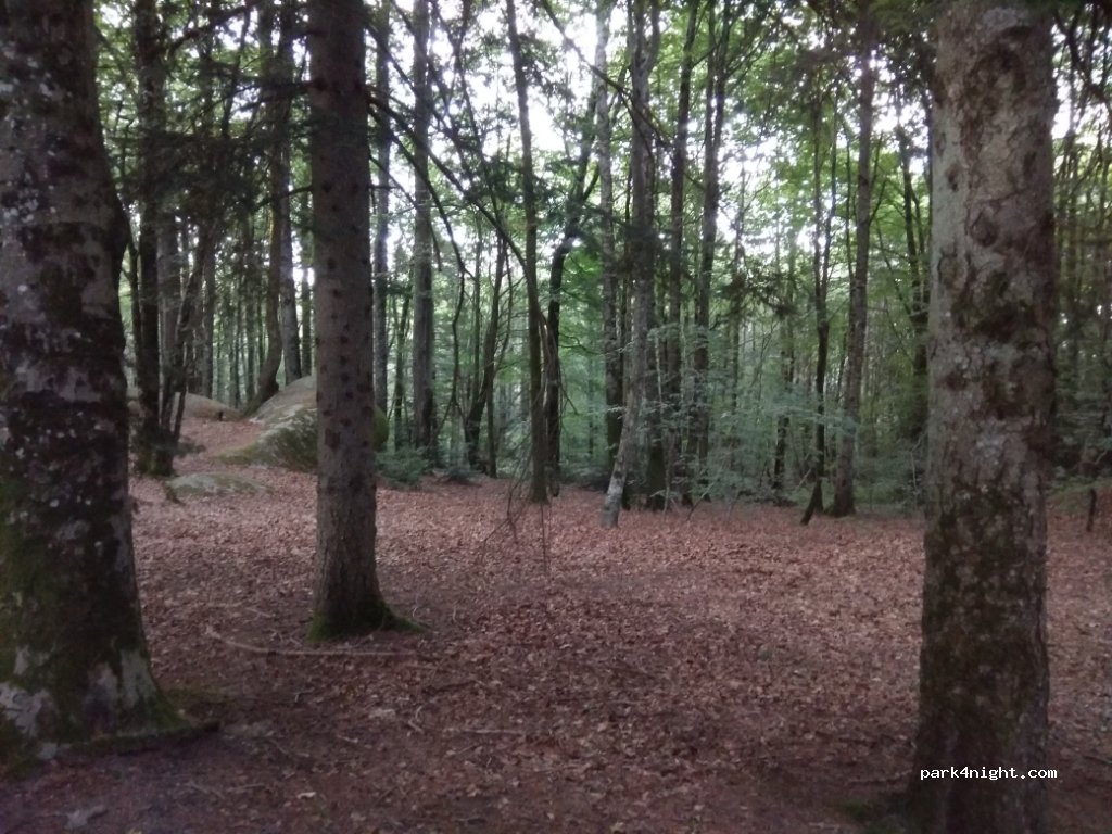 (81210) Lacrouzette - La Safraniére — foto 2