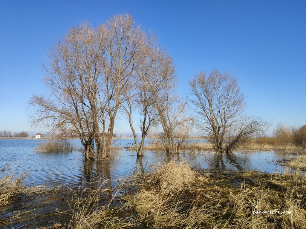 Zalew Komorowski — foto 2