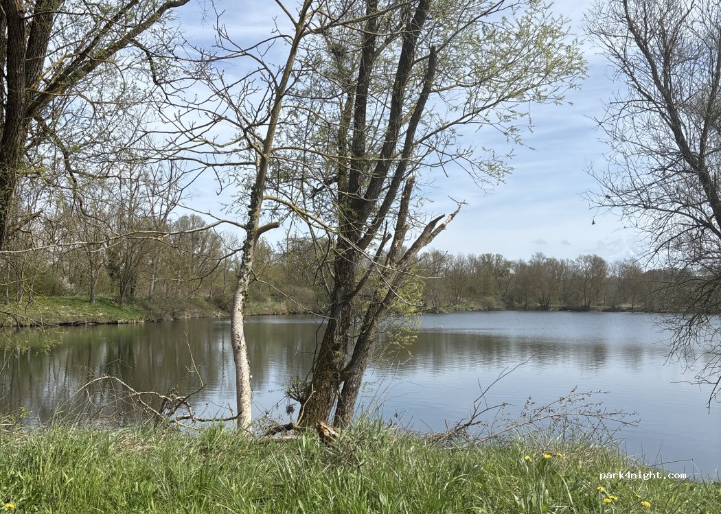 (54210) Tonnoy - Route nationale — foto
