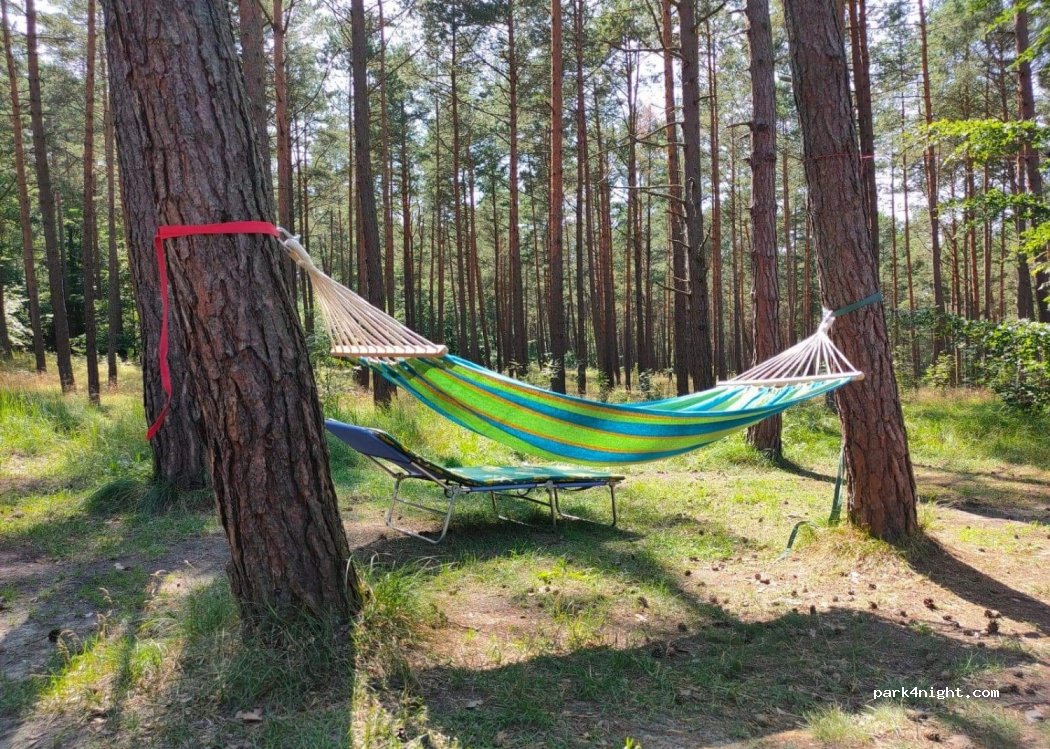 (82-120) Krynica Morska - Gdańska — foto 2