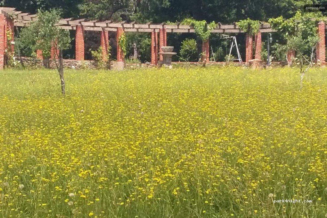 Domaine Dms Debah — foto 3