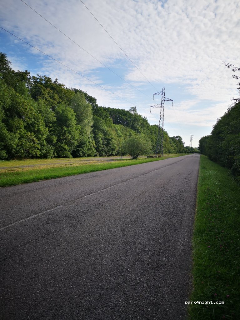 (57380) Faulquemont - Route de Strasbourg — foto 3