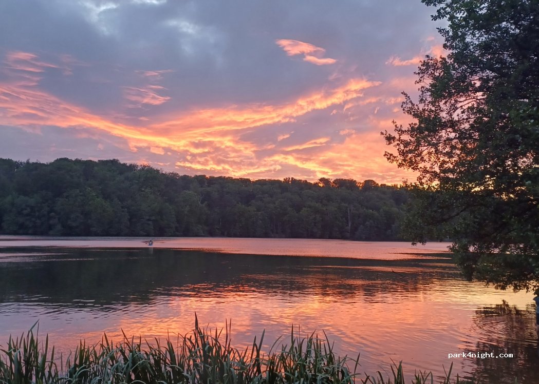 Schlaubetal Camping — foto 4