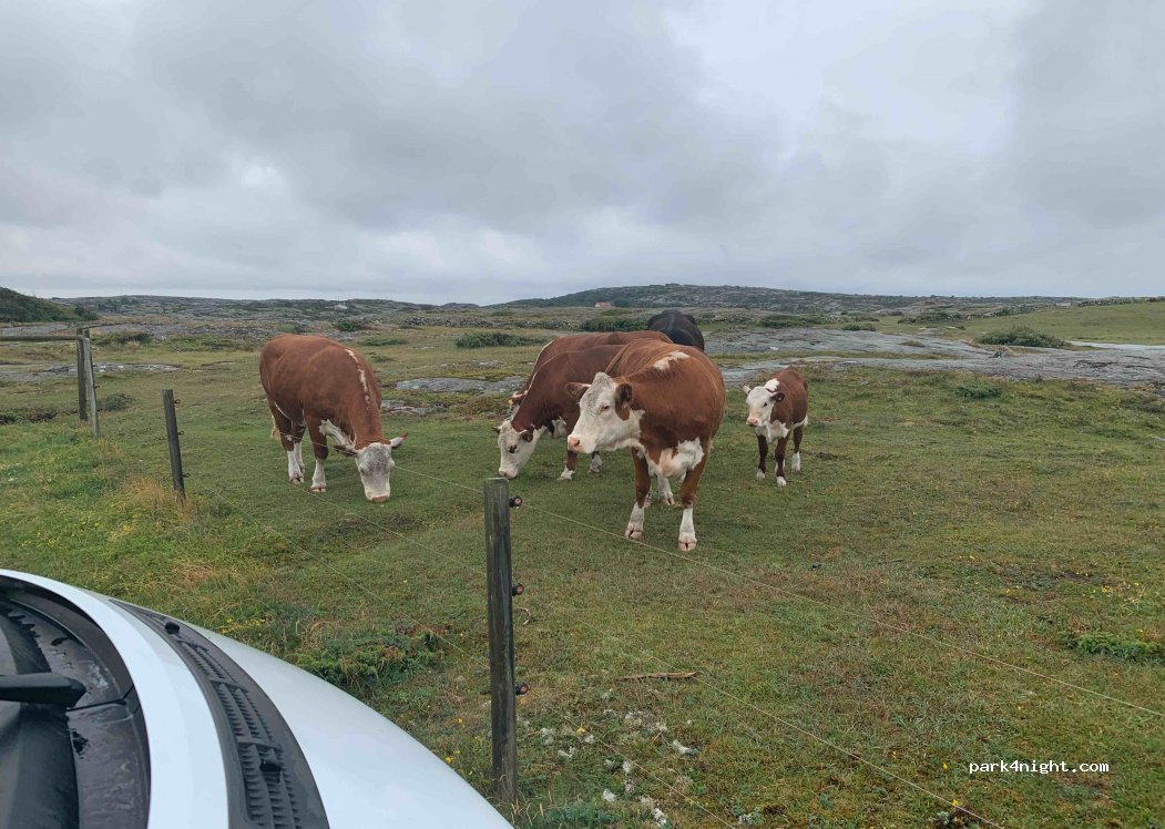 Ramsvikslandet — foto
