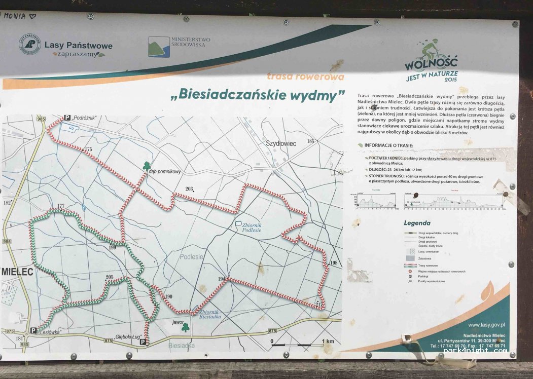 (39-300) Mielec - Droga Wojewódzka 985 — foto