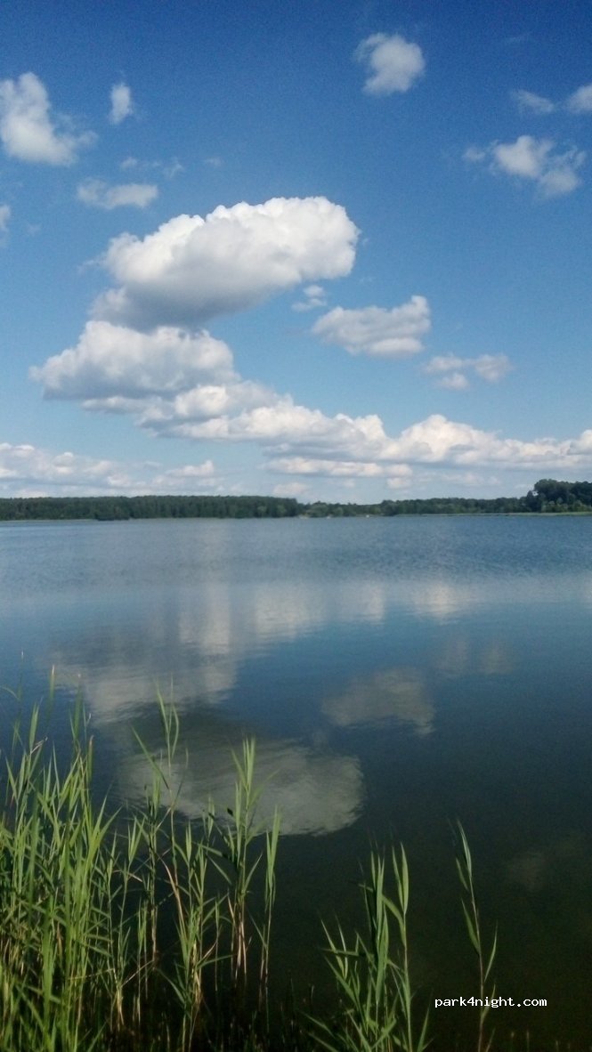 Pole Biwakowe Rodzinne — foto