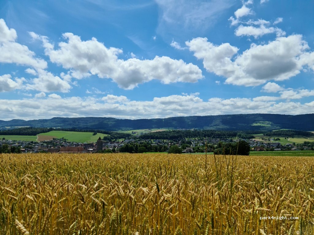 (2900) Porrentruy - 64 Chemin des Cras — foto 3