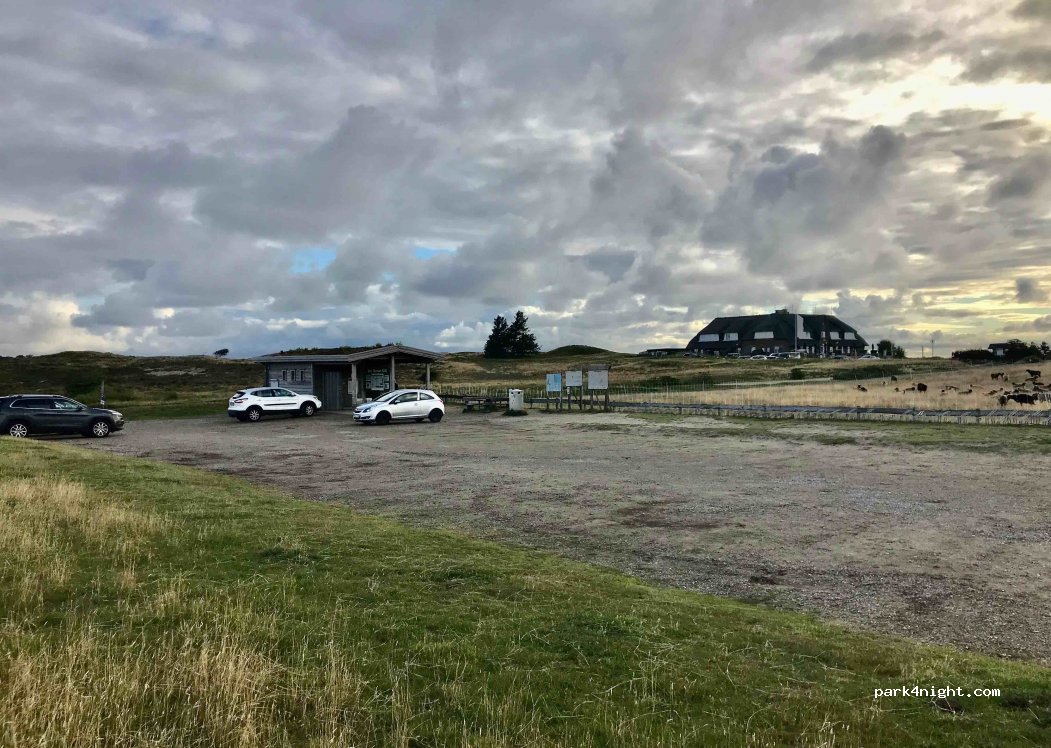 (25980) Sylt-Ost - Hiir — foto
