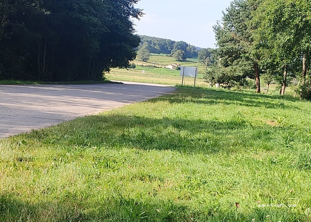 (88600) La Chapelle-devant-Bruyères - 543 Chemin Départemental 60 — foto 3