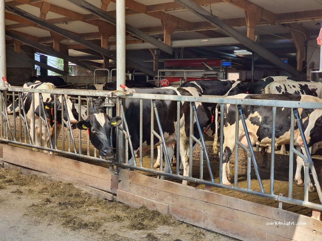 Boerderijcamping VrijeVogel — foto 3