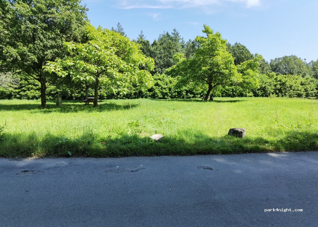 (72350) Saint-Denis-d'Orques - D357 — foto