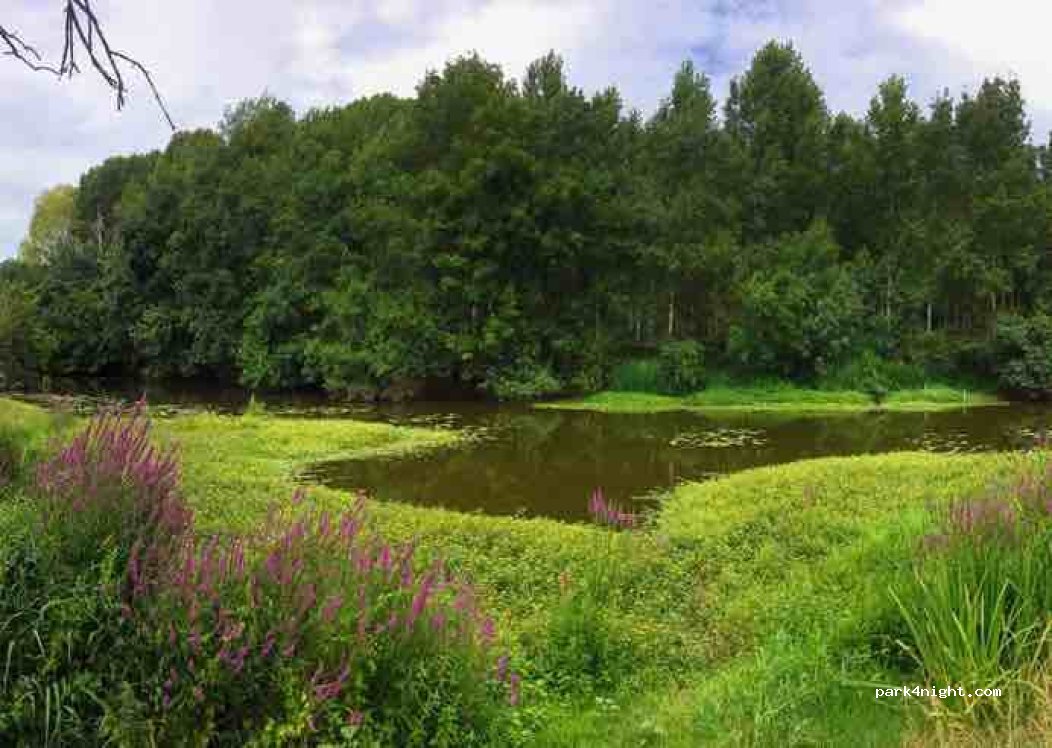 (49260) Saint-Just-sur-Dive - 1 Voie Communale Gastines — foto 2