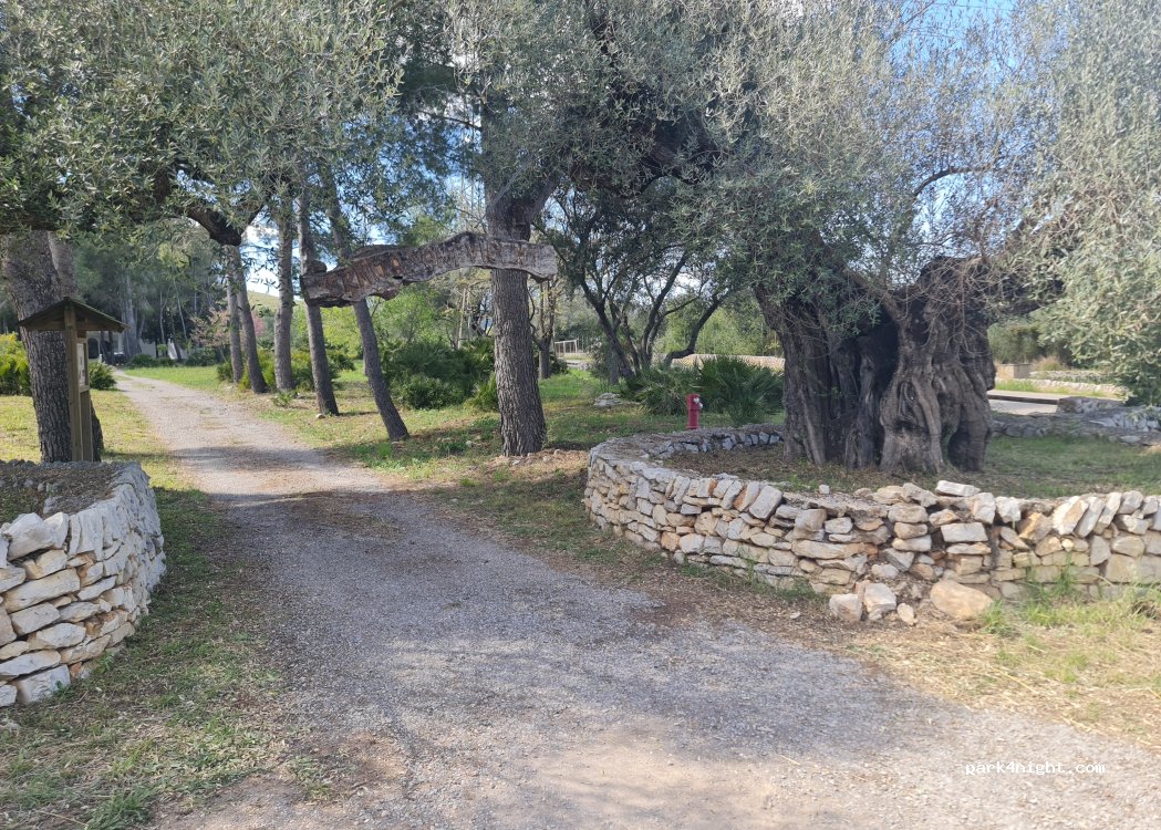 (12597) Santa Magdalena de Polpís - Camí de Salzadella — foto 4