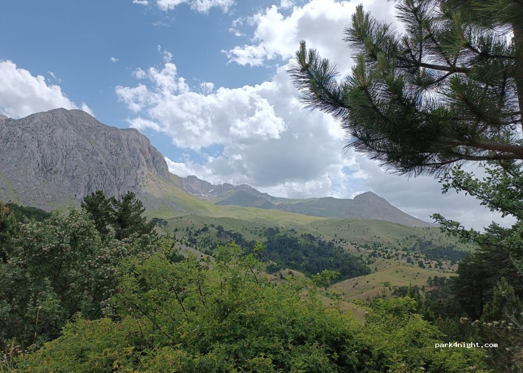 (32510)  - Unnamed Road — foto 5