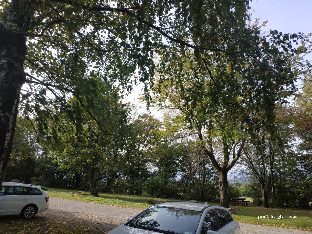 (36145) Hofbieber - K20 — foto 2