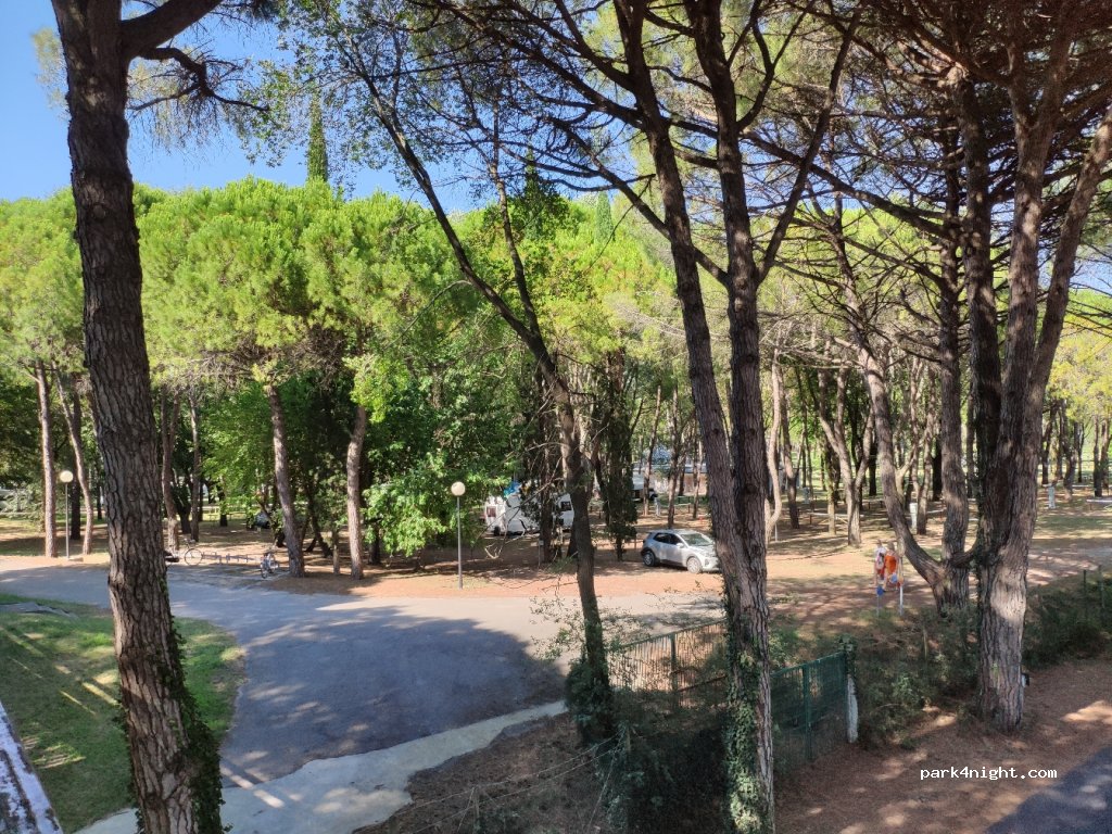 Camping Belvedere Pineta — foto