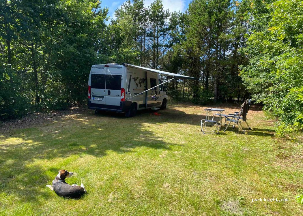 Rødhus Klit Camping — foto