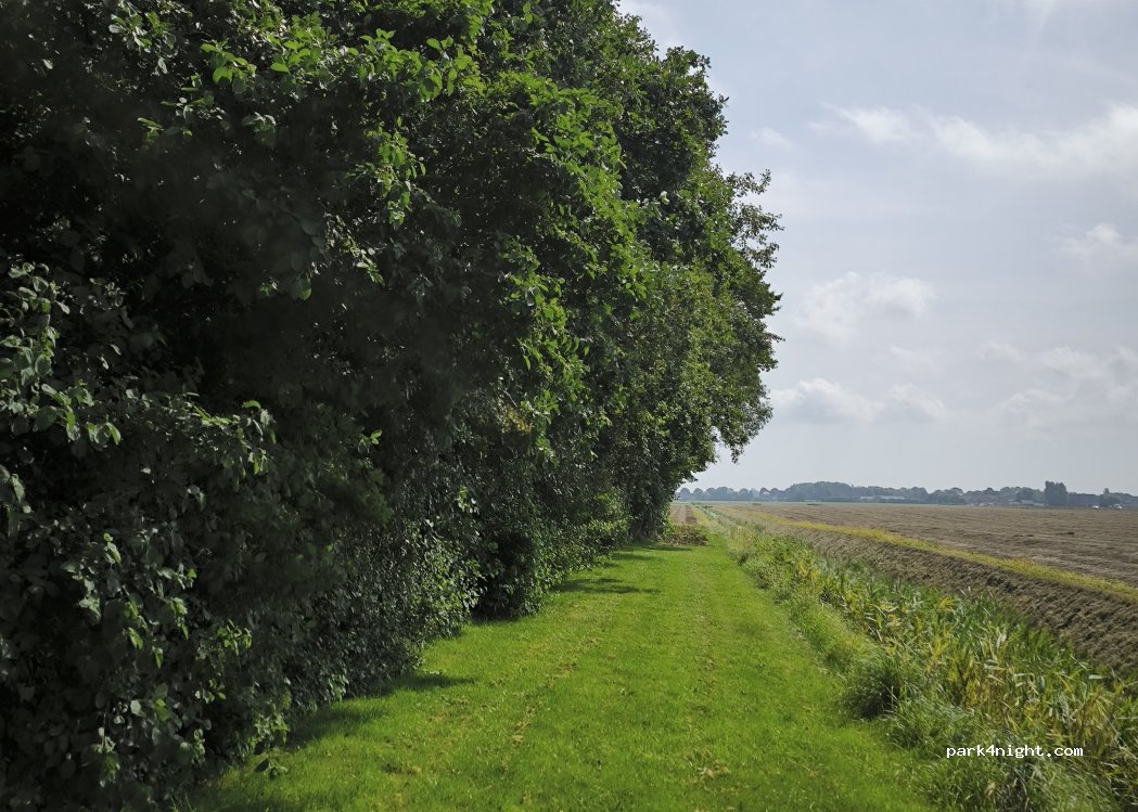 De Noordster — foto 5