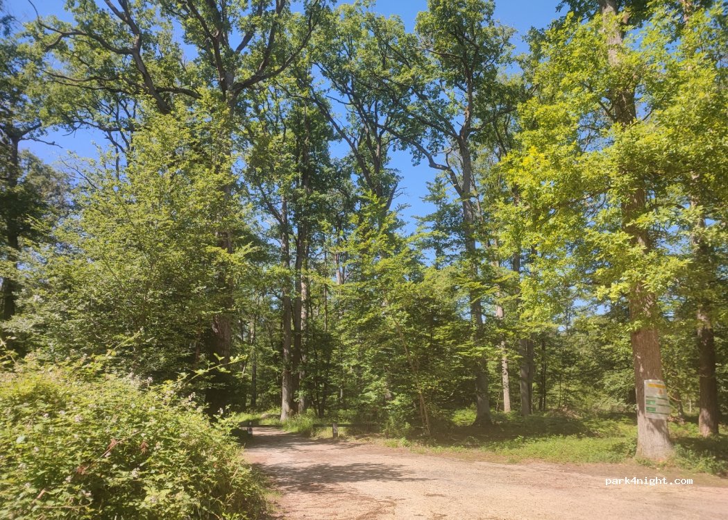 (77300) Fontainebleau - Route de la Table du Roi — foto
