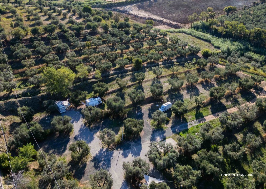 Camping Santissima Annunziata — foto 4