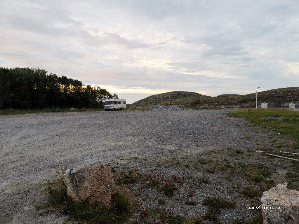 (7950)  - Primær Fylkesveg 768 — foto