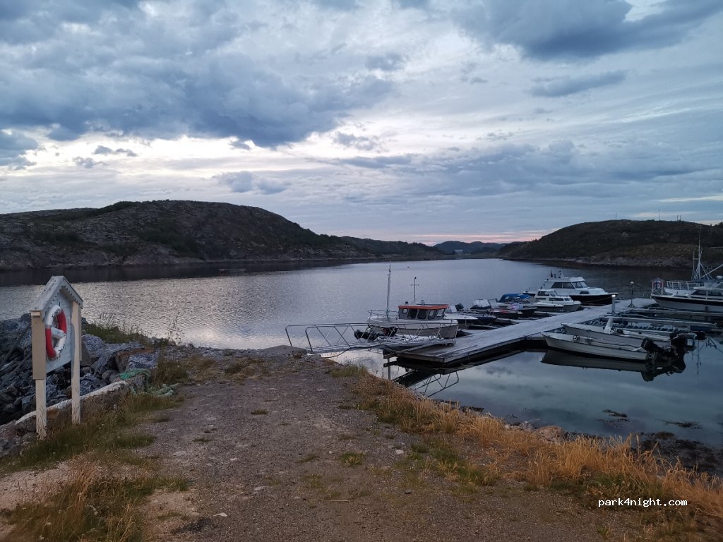 (7950)  - Primær Fylkesveg 768 — foto 3