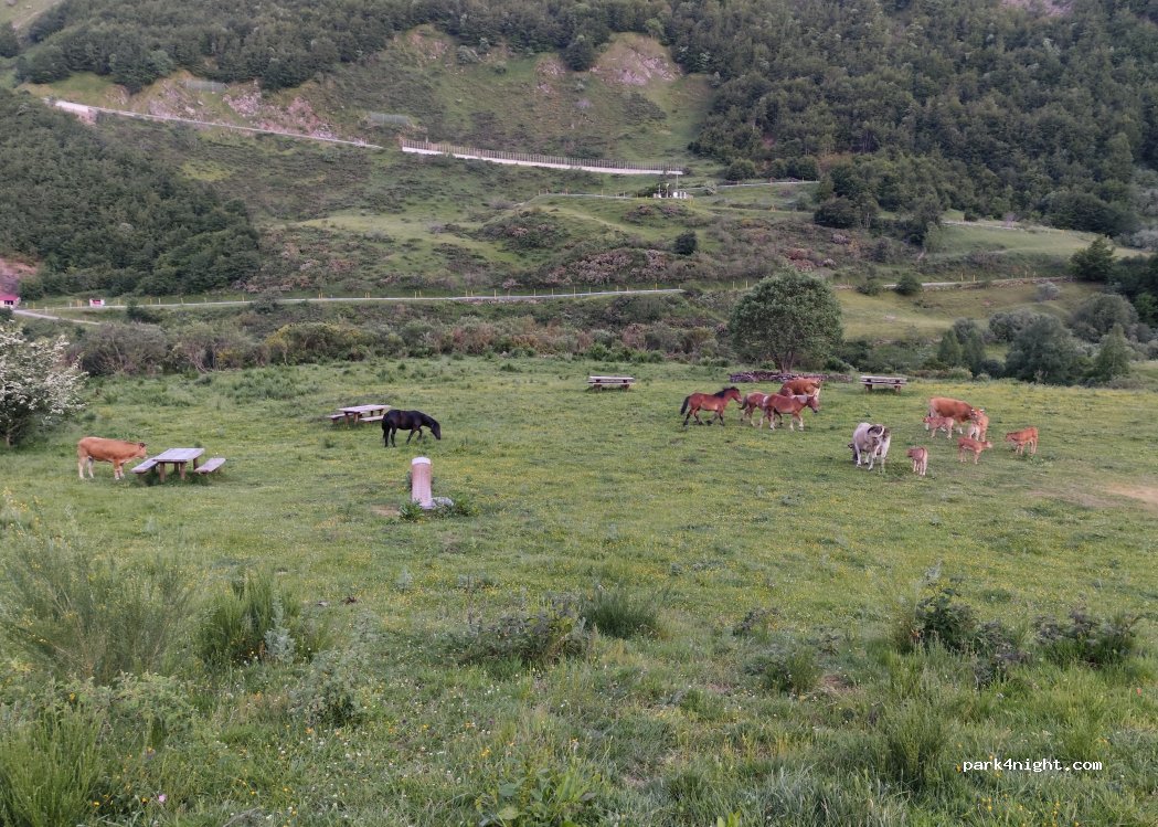 (33840) La Peral - Aldea La Peral — foto 4