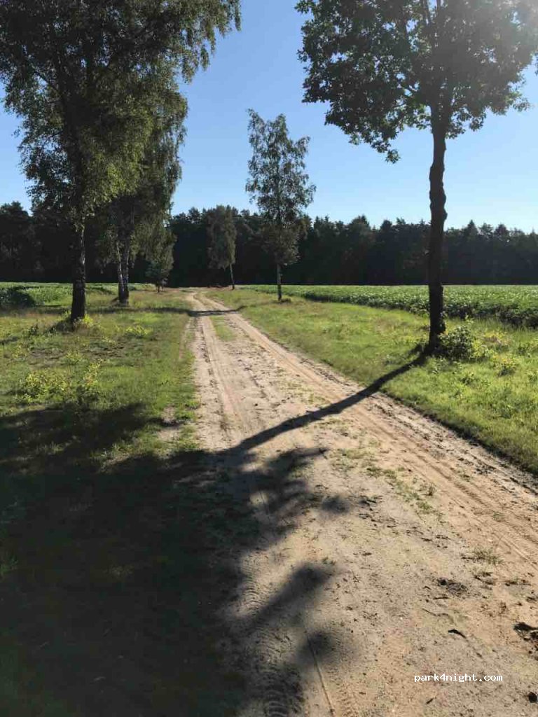 (29649) Wietzendorf - 4C Dehnernbockel — foto 3